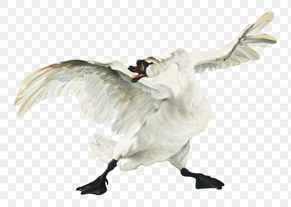 The Threatened Swan png sticker on transparent background.   Remastered by rawpixel