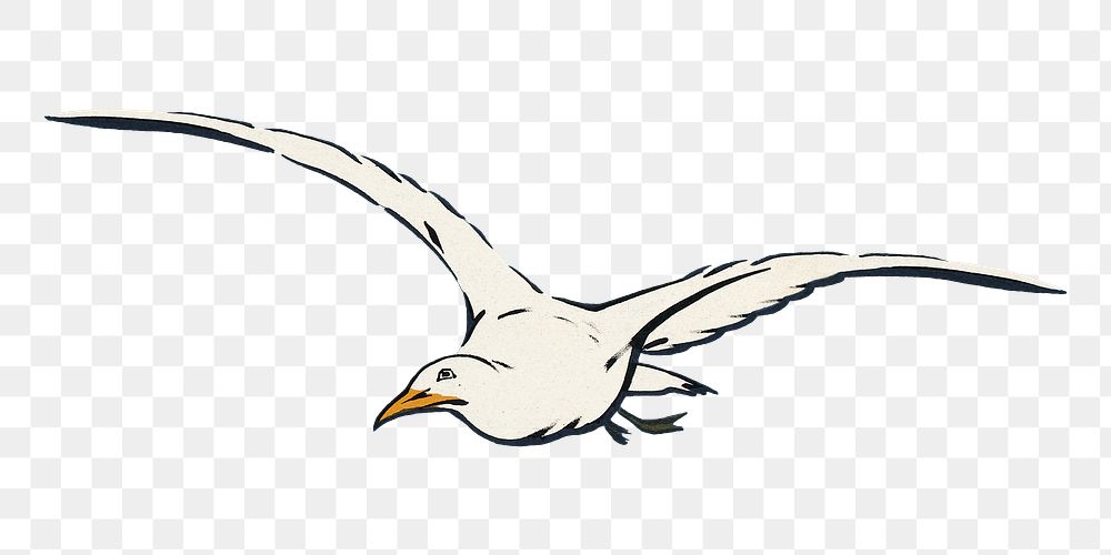 Flying white bird png sticker on transparent background.   Remixed by rawpixel.