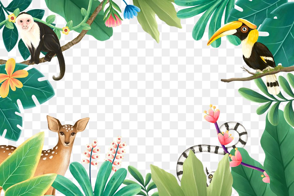 Tropical wildlife png frame, animal illustration, transparent background