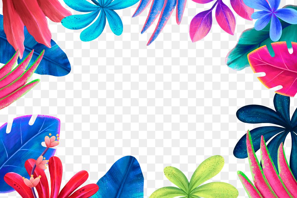 Colorful tropical png frame, botanical illustration, transparent background