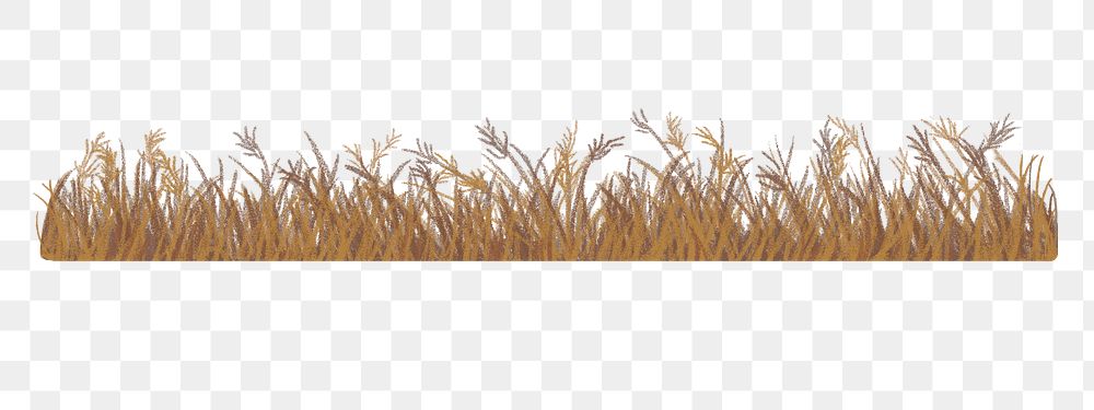 Wheat field png border sticker, drawing design, transparent background