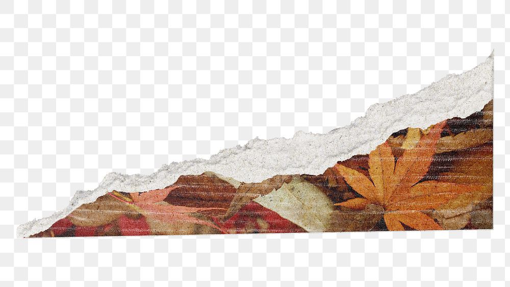 Autumn  ripped paper png sticker, transparent background