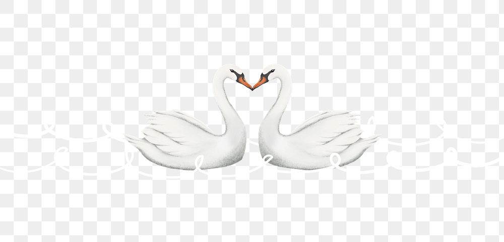 Love swans png sticker, Valentine's Day graphic, transparent background