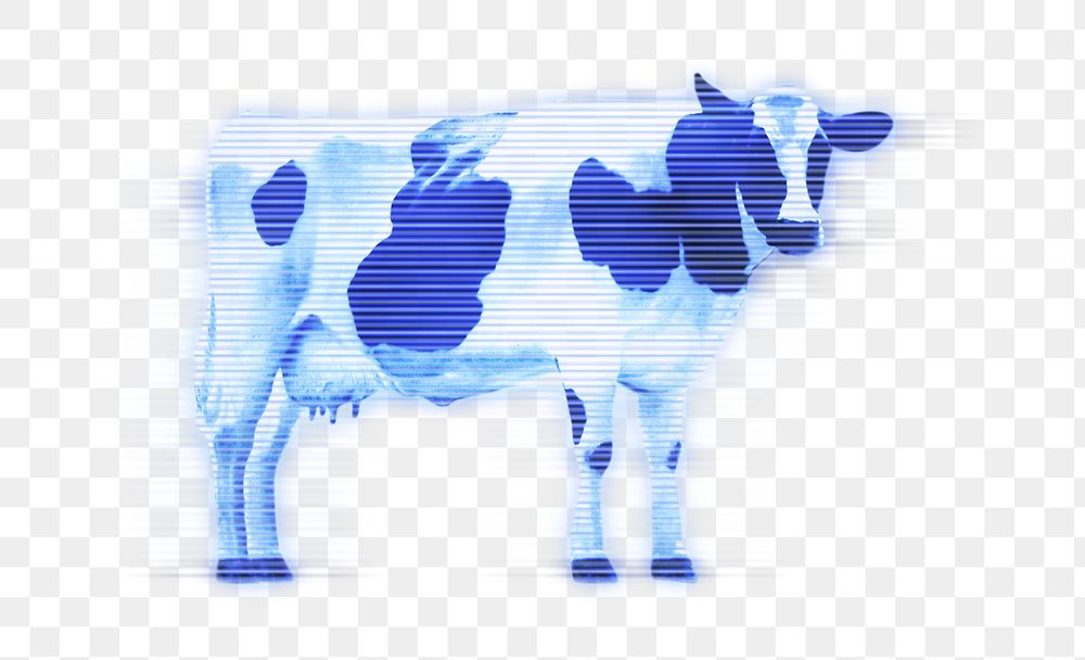 Cow png blue element, transparent background
