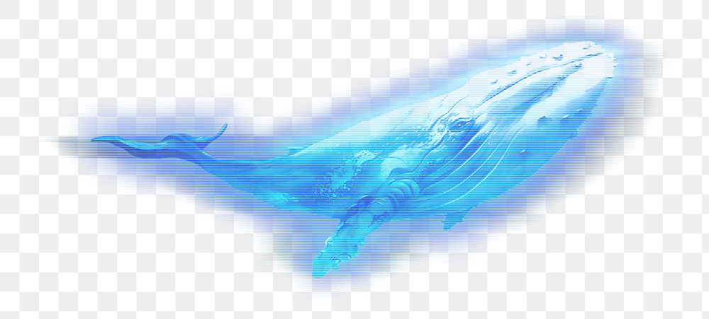 Whale png blue element, transparent background