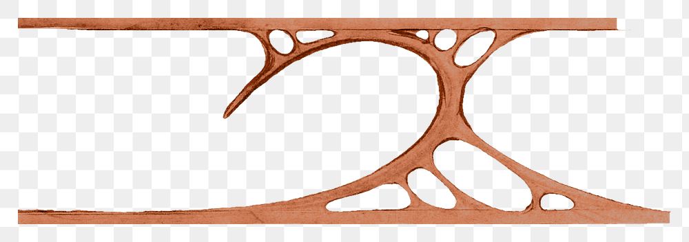 Brown ornate divider png sticker, vintage element, transparent background