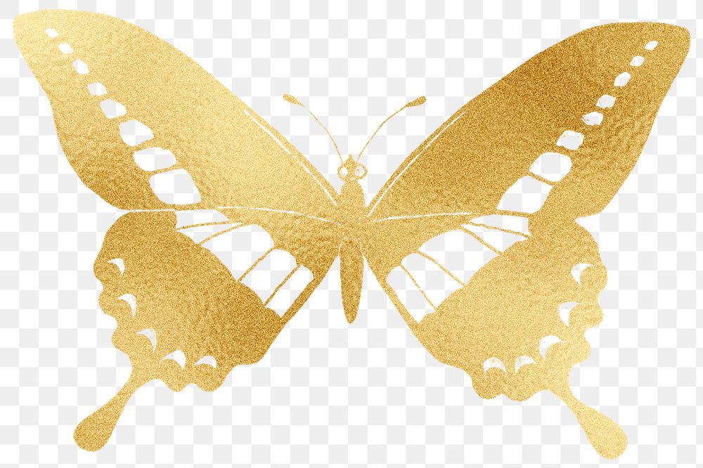Gold butterfly png animal sticker, transparent background, remixed by rawpixel