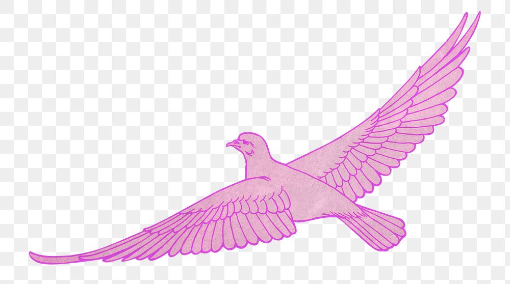 Pink dove png bird sticker, transparent background, remixed by rawpixel
