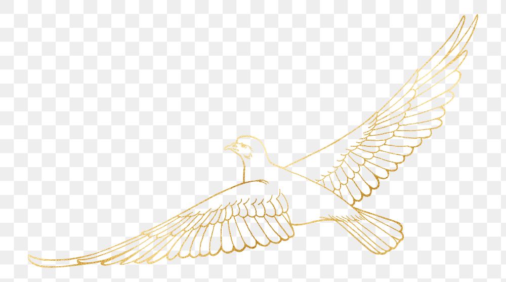Gold dove png bird sticker, transparent background, remixed by rawpixel