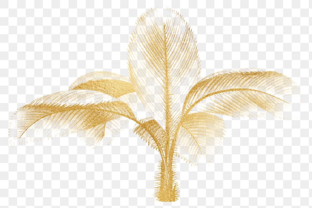 Gold palm png tree sticker, transparent background