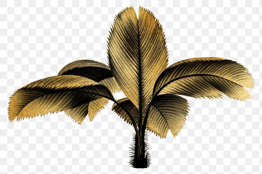 Gold palm tree png plant sticker, transparent background