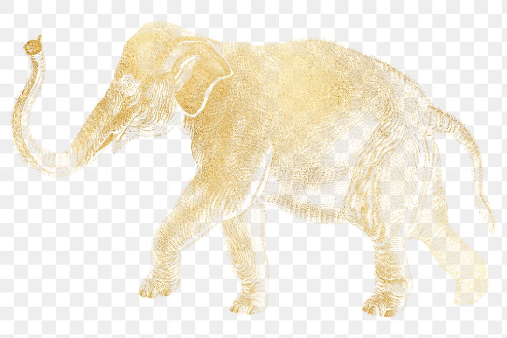 Gold elephant png animal sticker, transparent background