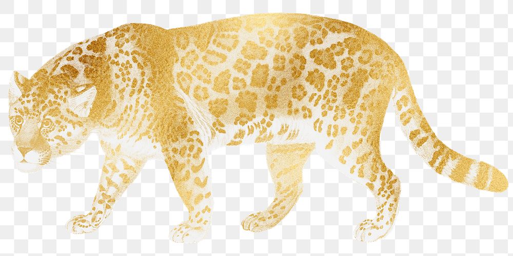 Golden jaguar png tiger sticker, transparent background