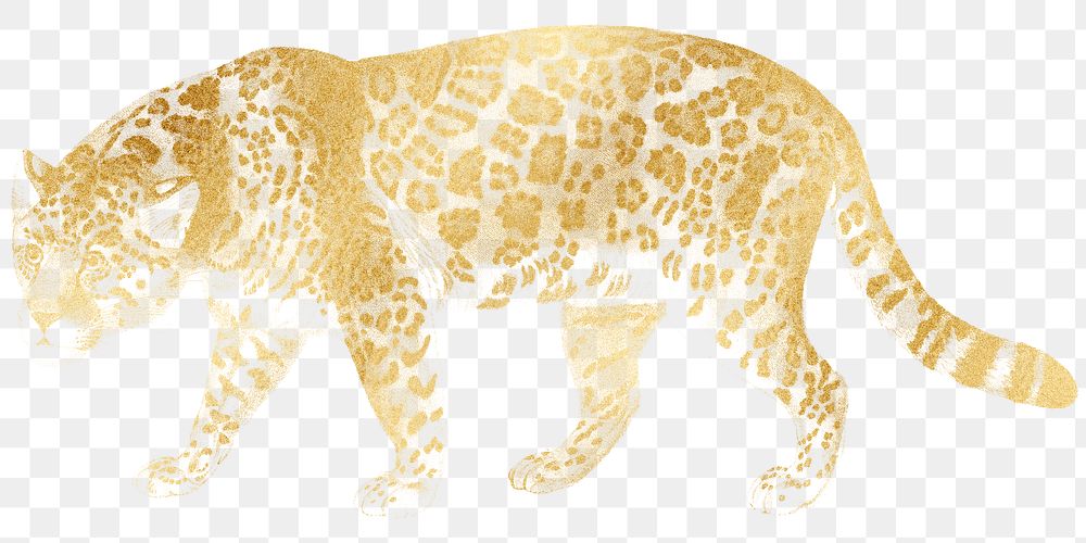 Golden jaguar png tiger sticker, transparent background