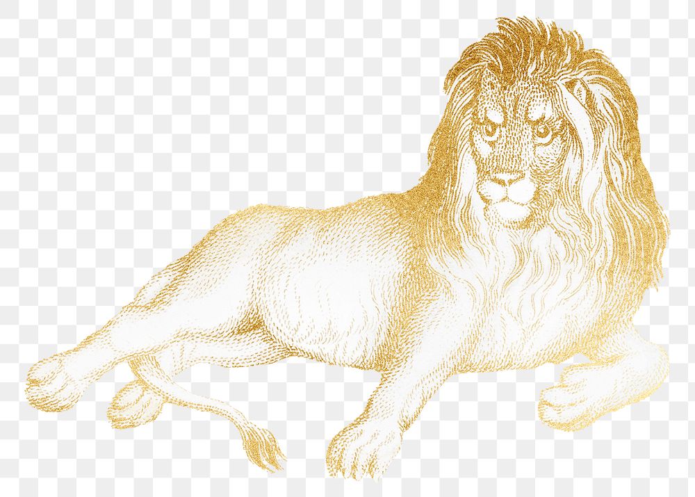 Gold lion png animal sticker, transparent background