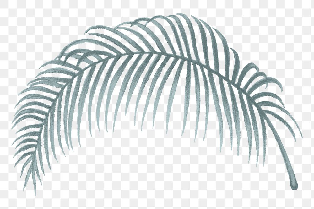 Palm leaf png vintage plant sticker, transparent background