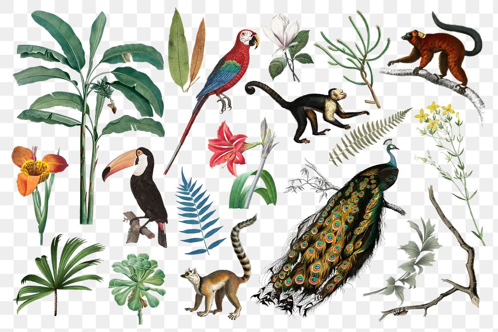 Vintage wild animals png sticker set, transparent background