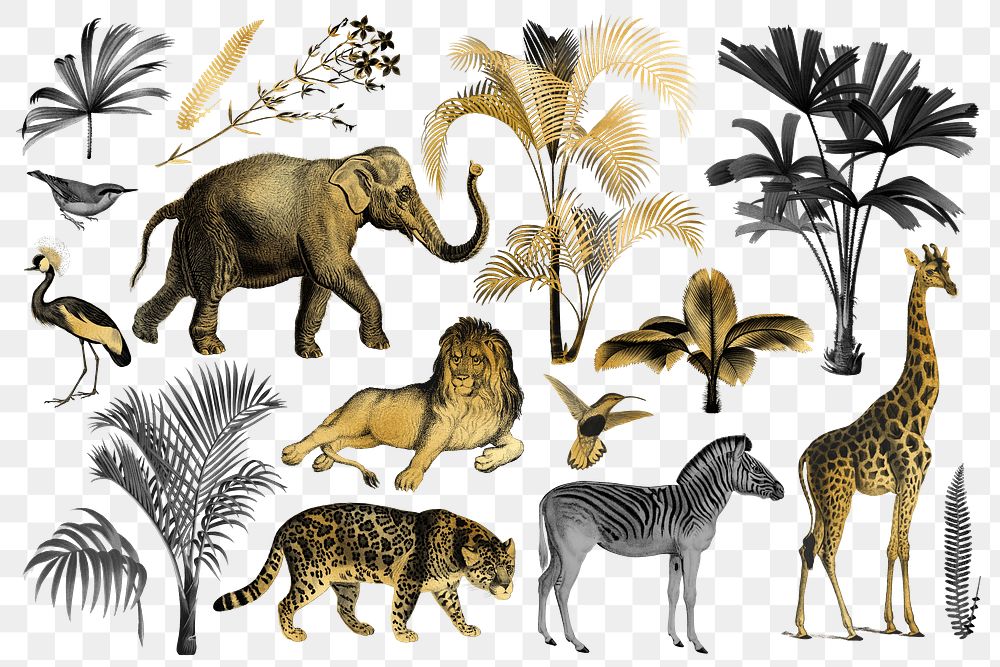 Gold wild animals png sticker set, transparent background