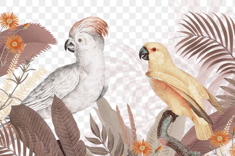 Tropical aesthetic png bird border, transparent background