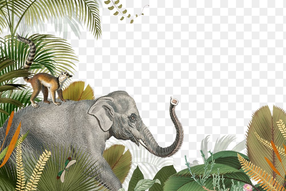 Wild elephant png jungle border, transparent background