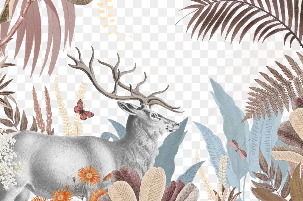 Vintage elk  png wildlife, transparent background