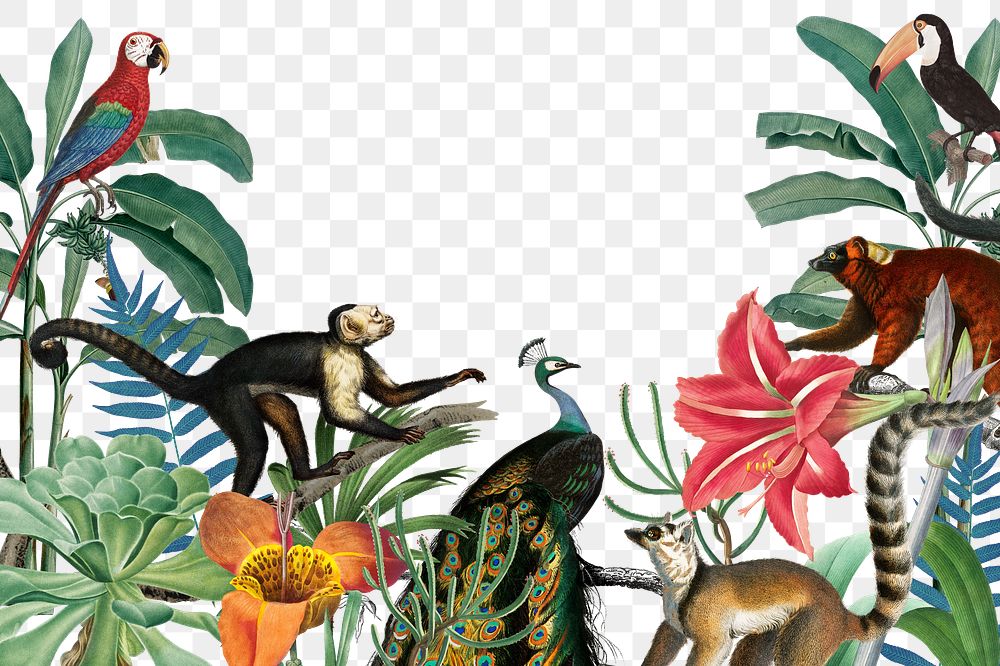 Wild jungle animals png border, transparent background