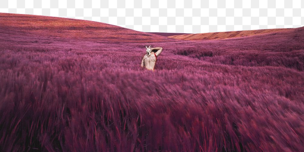 Pink grass png field border, nature aesthetic image, transparent background