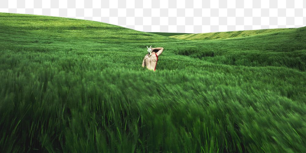 Green grass png field border, nature aesthetic image, transparent background