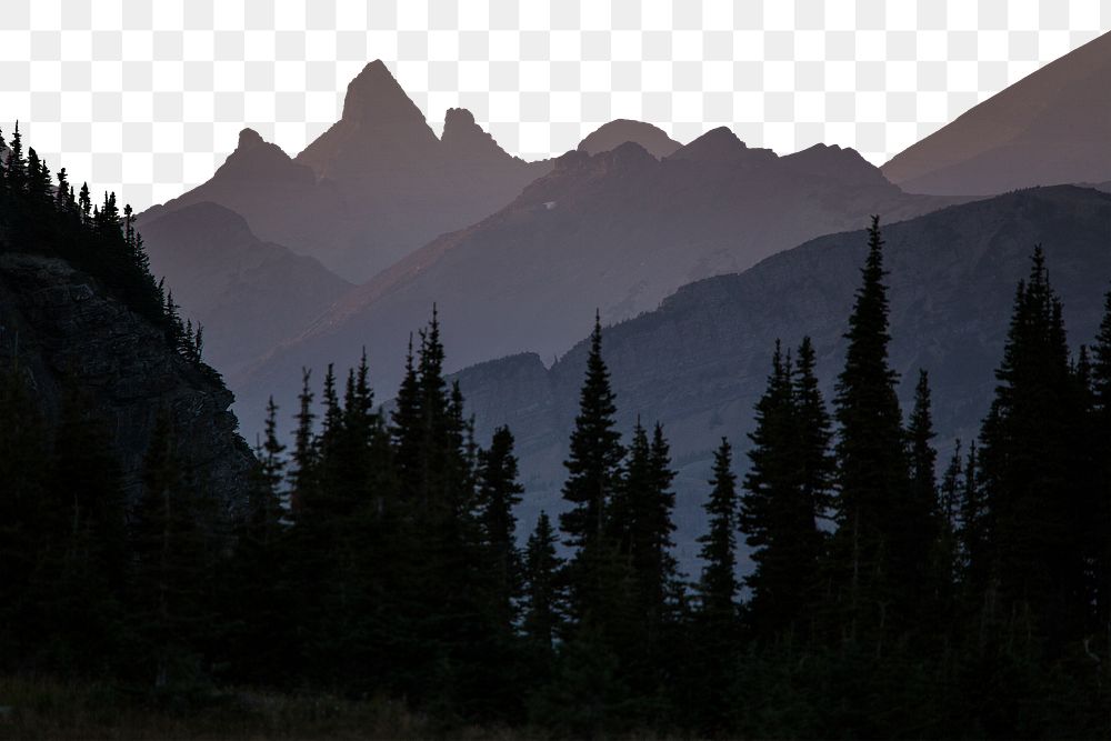 PNG pine forest & mountain border, transparent background