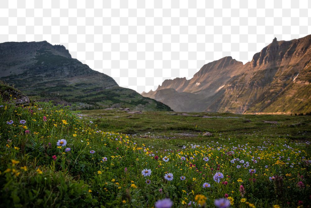 PNG wildflowers & mountain border, transparent background