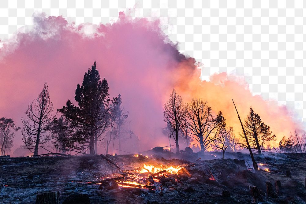 Bushfire png border, transparent background