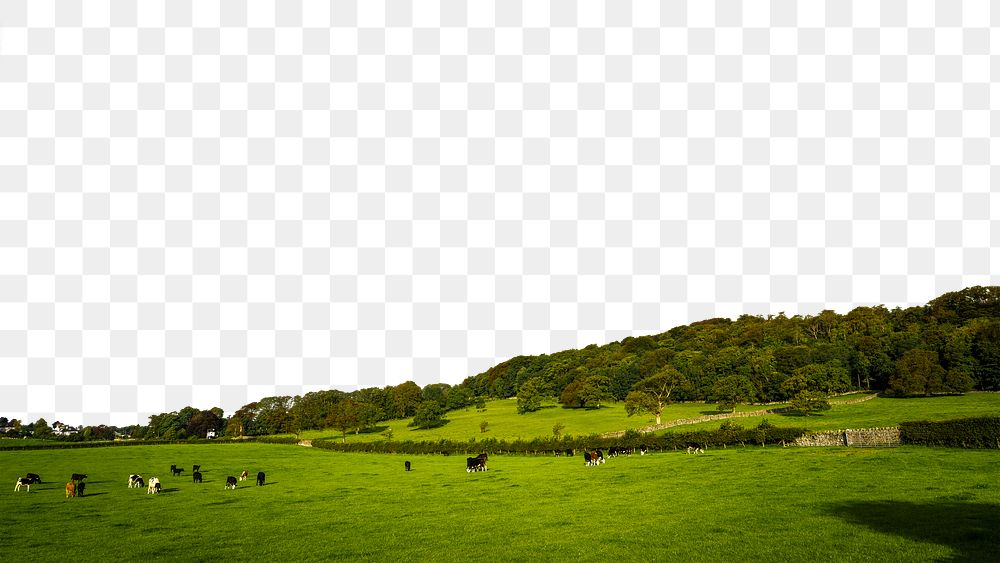 Cow field png border, transparent background