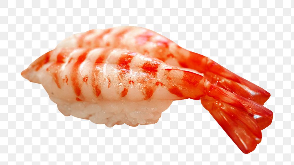 Sweet shrimp sushi png sticker, transparent background