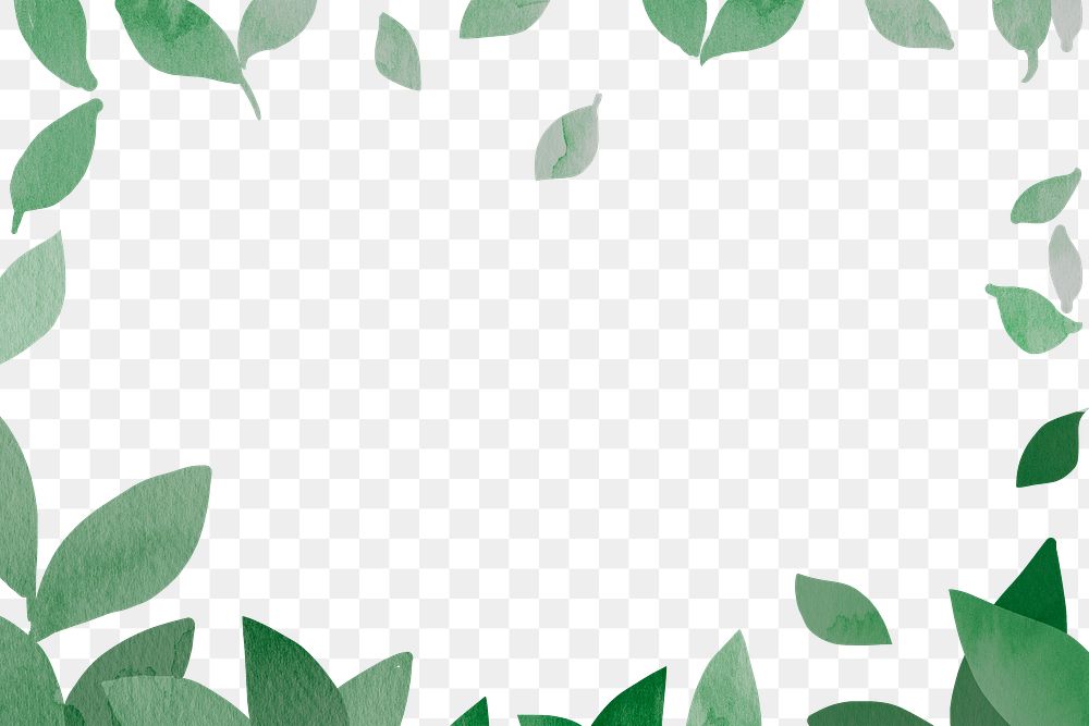 Green leaf png frame, nature sticker, transparent background