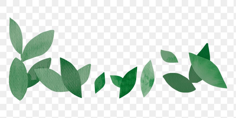 Green leaf png nature border sticker, transparent background