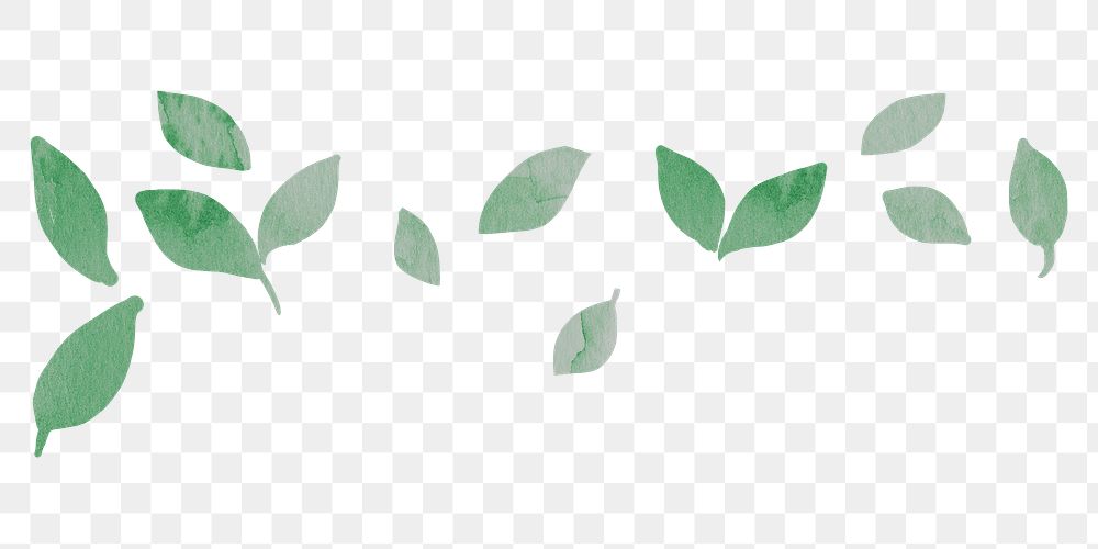 Green leaf png border, nature sticker, transparent background