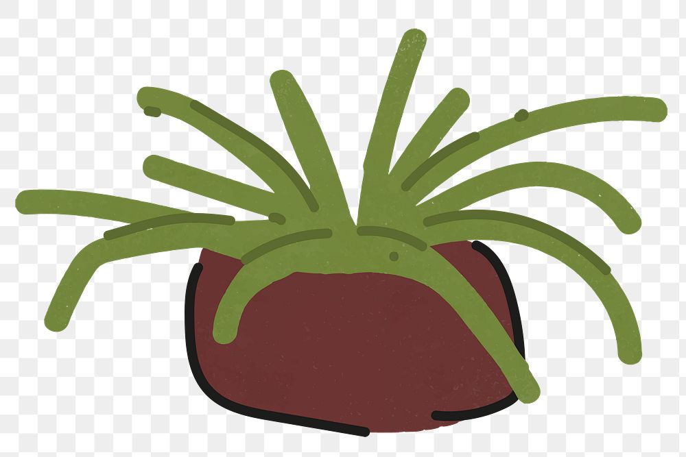 Png table plant doodle sticker, transparent background