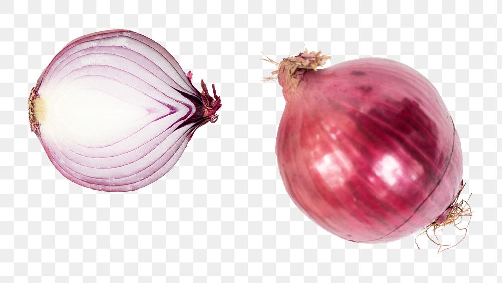 Red onion png shallot sticker, transparent background