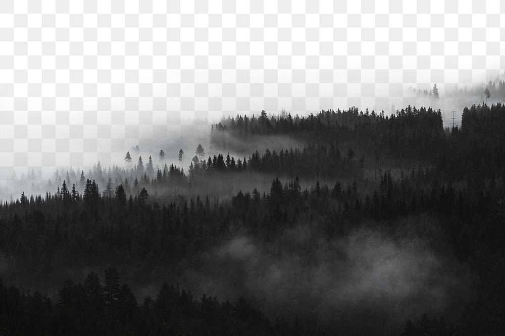 PNG misty winter forest border, transparent background