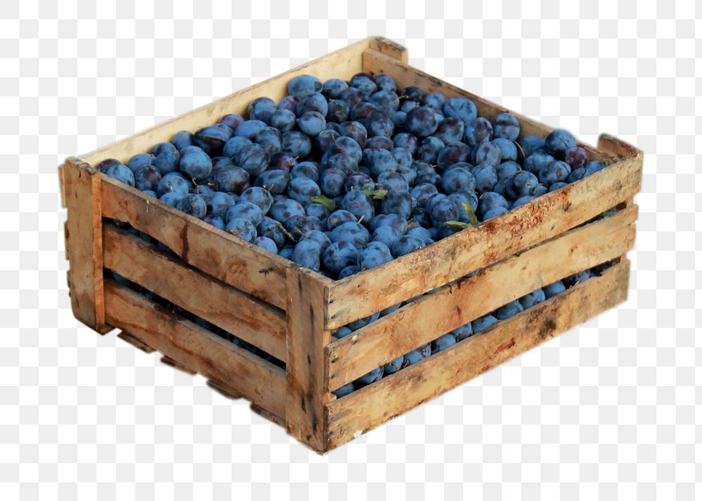 Blueberries in crate png sticker, transparent background