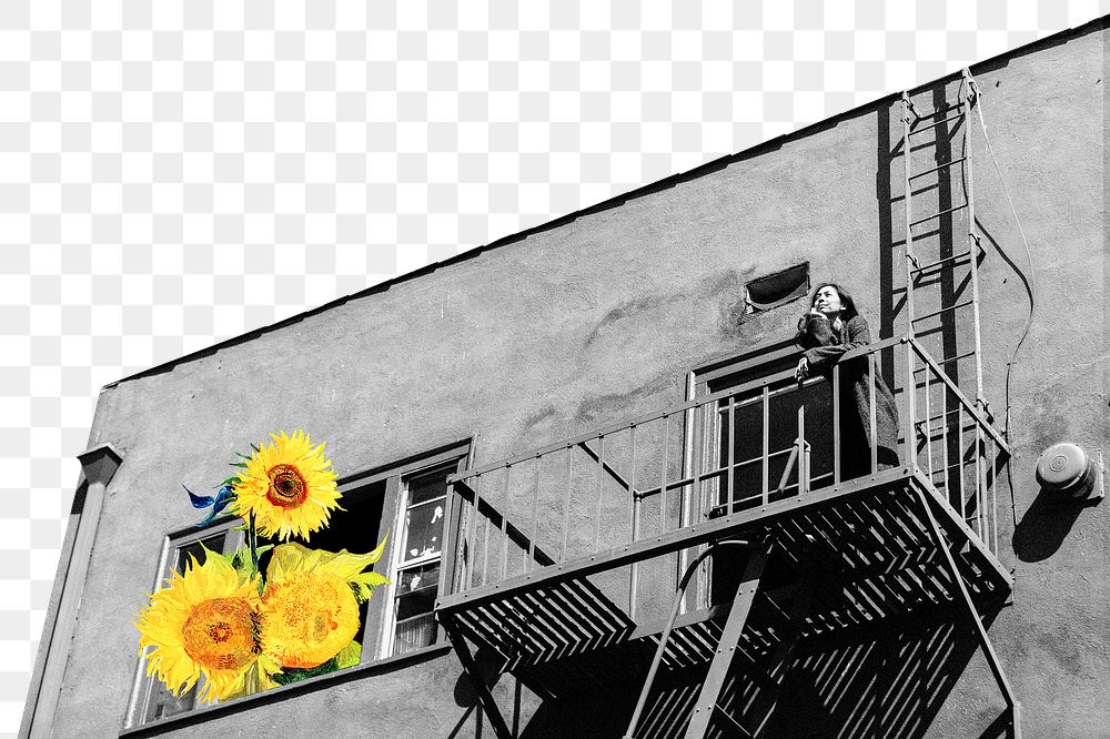Sunflower building  png sticker, transparent background. Remixed by rawpixel.
