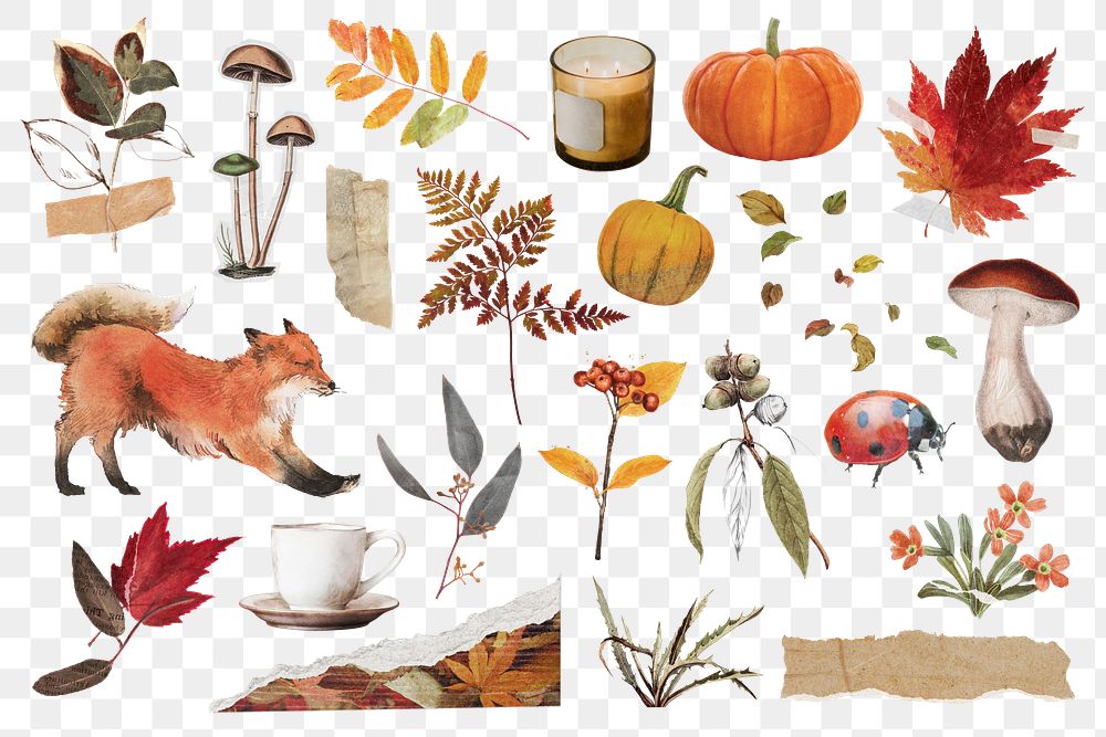 Aesthetic Autumn png sticker, seasonal collage element set, transparent background