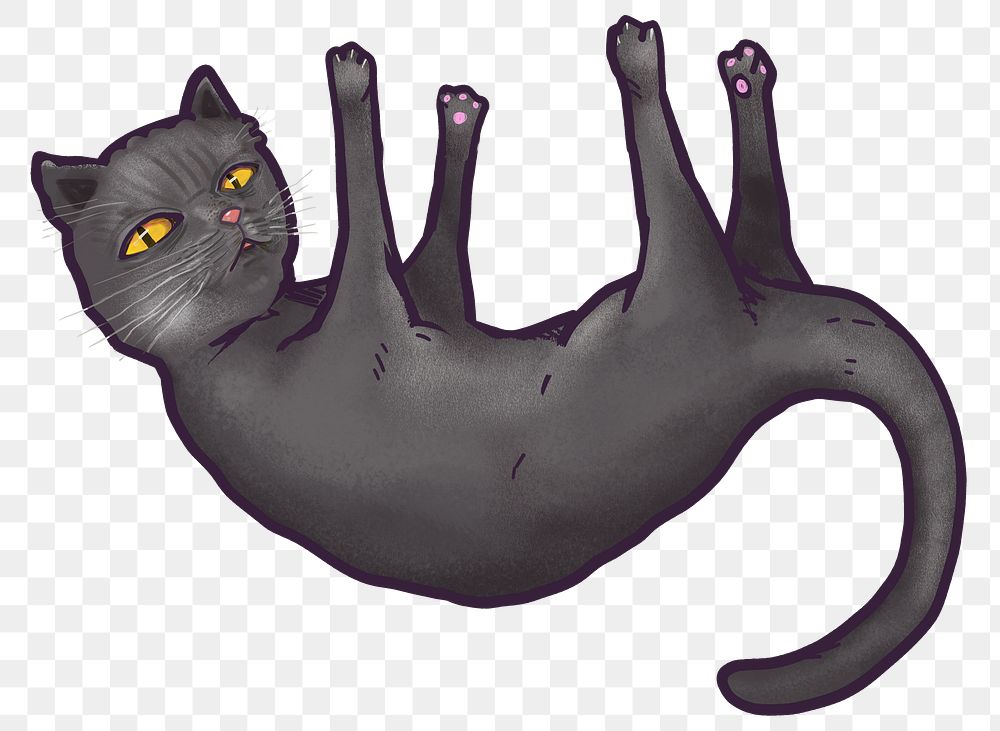 Black cat png sticker, transparent background