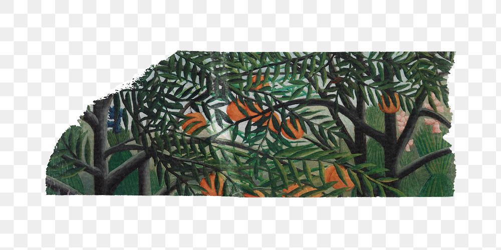 Orange trees png washi tape sticker, Henri Rousseau's vintage element, transparent background, remixed by rawpixel