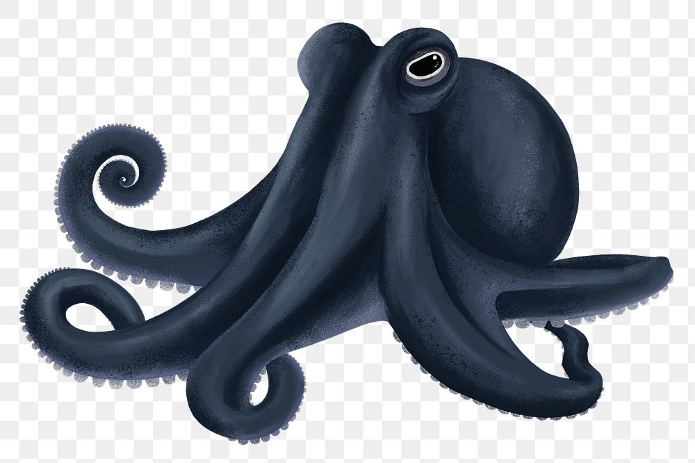 Black octopus png sticker, animal illustration, transparent background