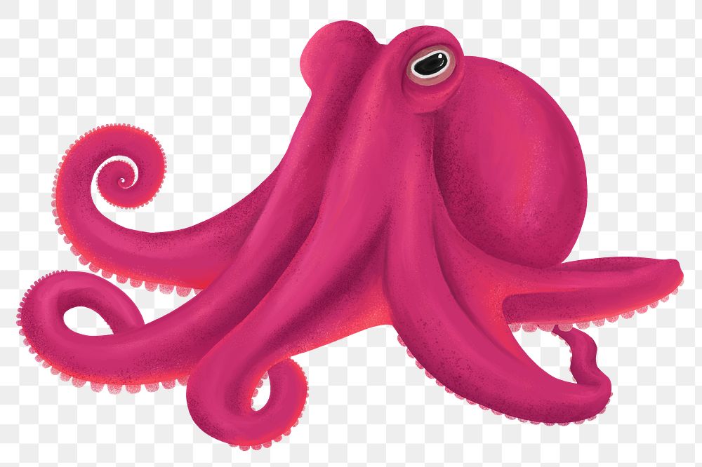Pink octopus png sticker, animal illustration, transparent background