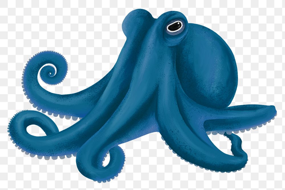 Blue octopus png sticker, animal illustration, transparent background