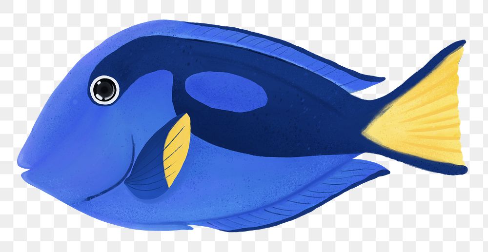 Blue fish png sticker, animal illustration, transparent background