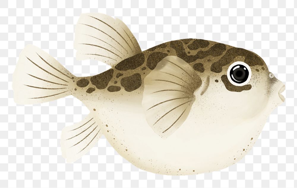 Puffer fish png sticker, animal illustration, transparent background