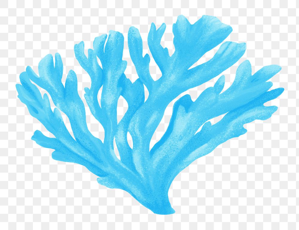 Blue coral png sticker, nature illustration, transparent background